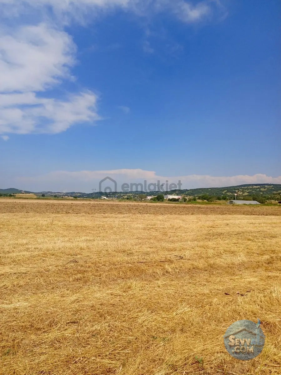 Gökçeyazı Da Kadastro Yolu Mevcut Tarla - BALIKESİR İVRİNDİ fotoğraf 12