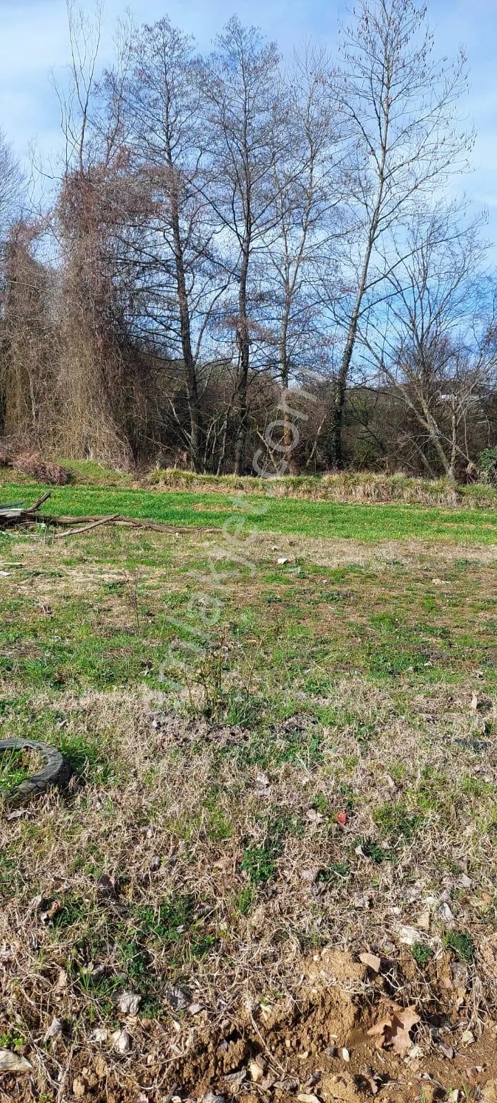 Kandıra Ömerli De Satılık Arsa - KOCAELİ KANDIRA fotoğraf 2