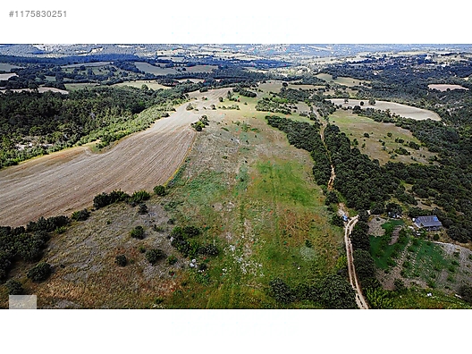 ÇANAKKALE BAYRAMİÇ MURATLAR KÖYÜ 45.000 m2 TARLA - ÇANAKKALE BAYRAMİÇ fotoğraf 27