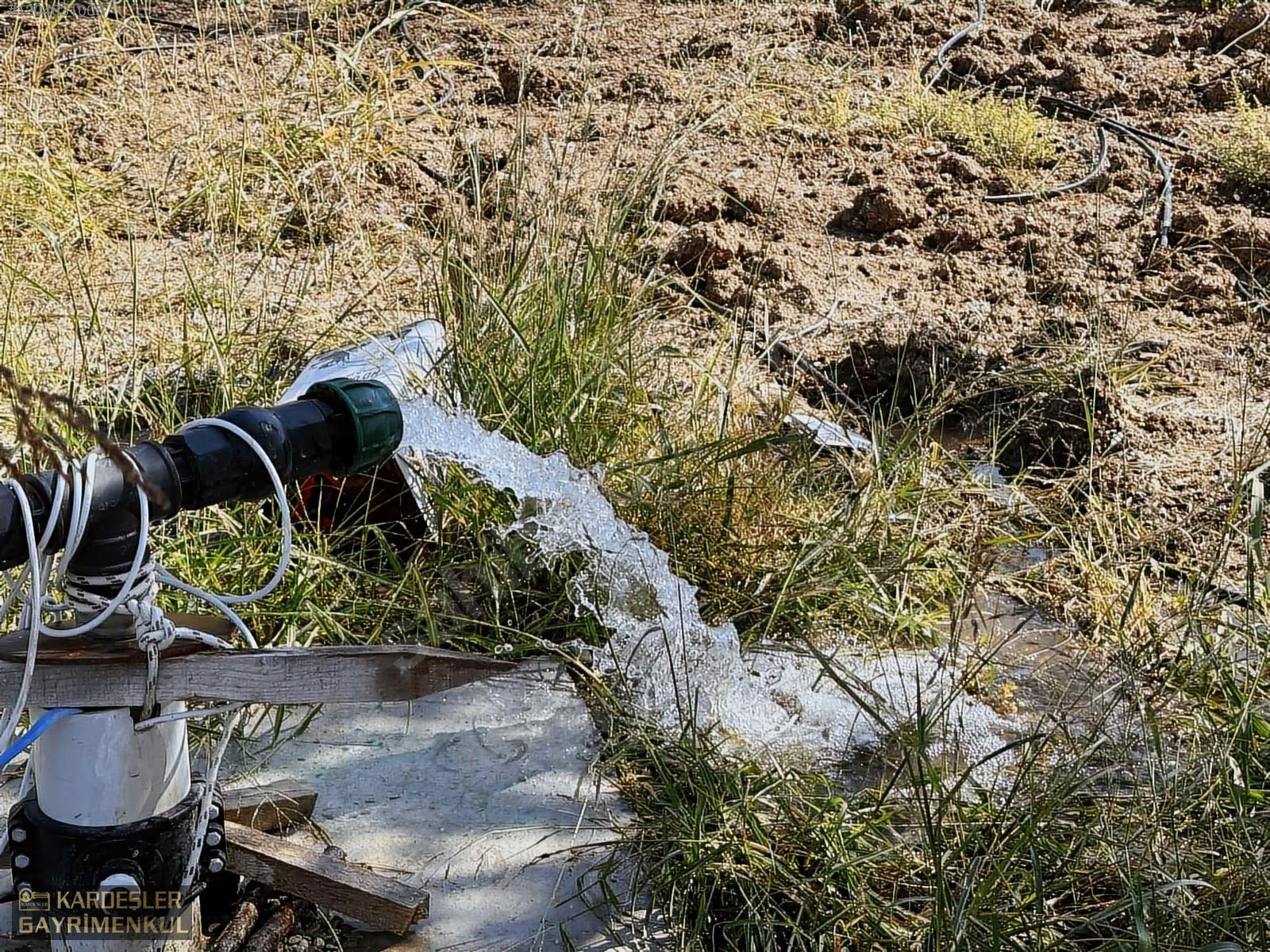 AKHİSAR YENİCEKÖYDE KARIŞIK ZEYTİN MEYVE BAHÇESİ SU ELEKTRİKLİ - MANİSA AKHİSAR fotoğraf 8
