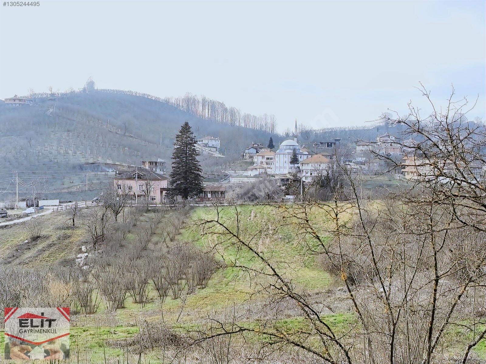 Kocaali Kirazlı'da 4.286m² Fındık Bahçesi ve 780m² İmarlı Arsa - SAKARYA KOCAALİ fotoğraf 60