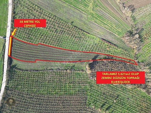 KANDIRA ŞEREFSUNGUR'DA 5621m2 ASFALT CEPHE HARİKA ÇİFTLİK YERİ - KOCAELİ KANDIRA fotoğraf 4