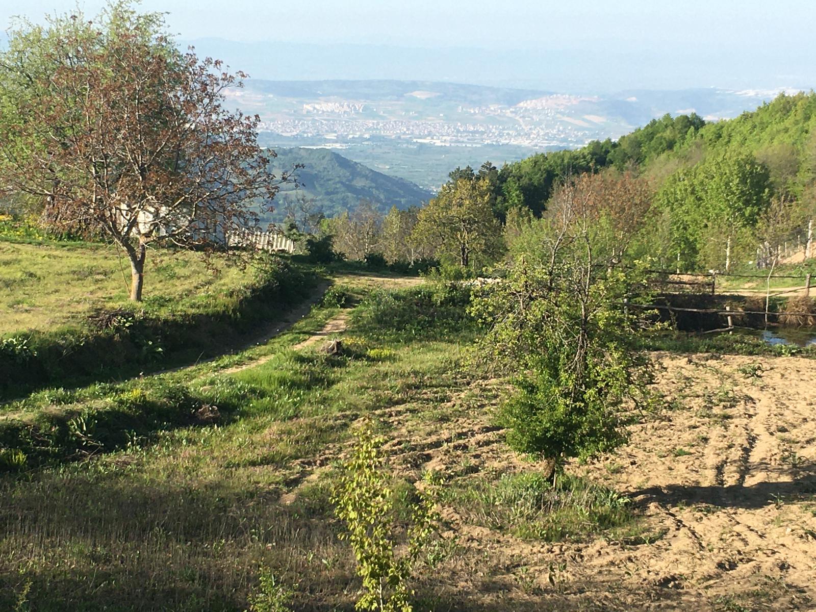 ACİL SATILIK UYGUN FİYATLI MANZARALI ARSA - BURSA İNEGÖL fotoğraf 4