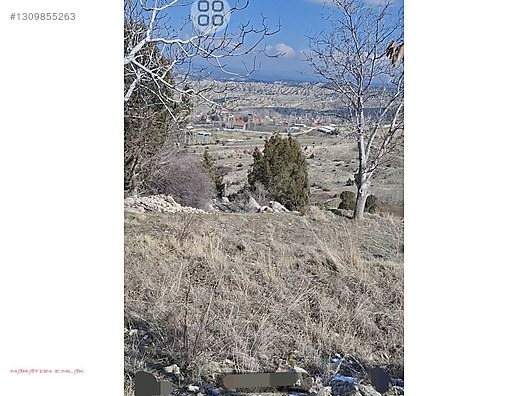 KEMER DE ŞEHİR MANZARALI 7500M2 İÇİNDE 50 KADAR YETİŞMİŞ CEVİZ - BURDUR KEMER fotoğraf 13