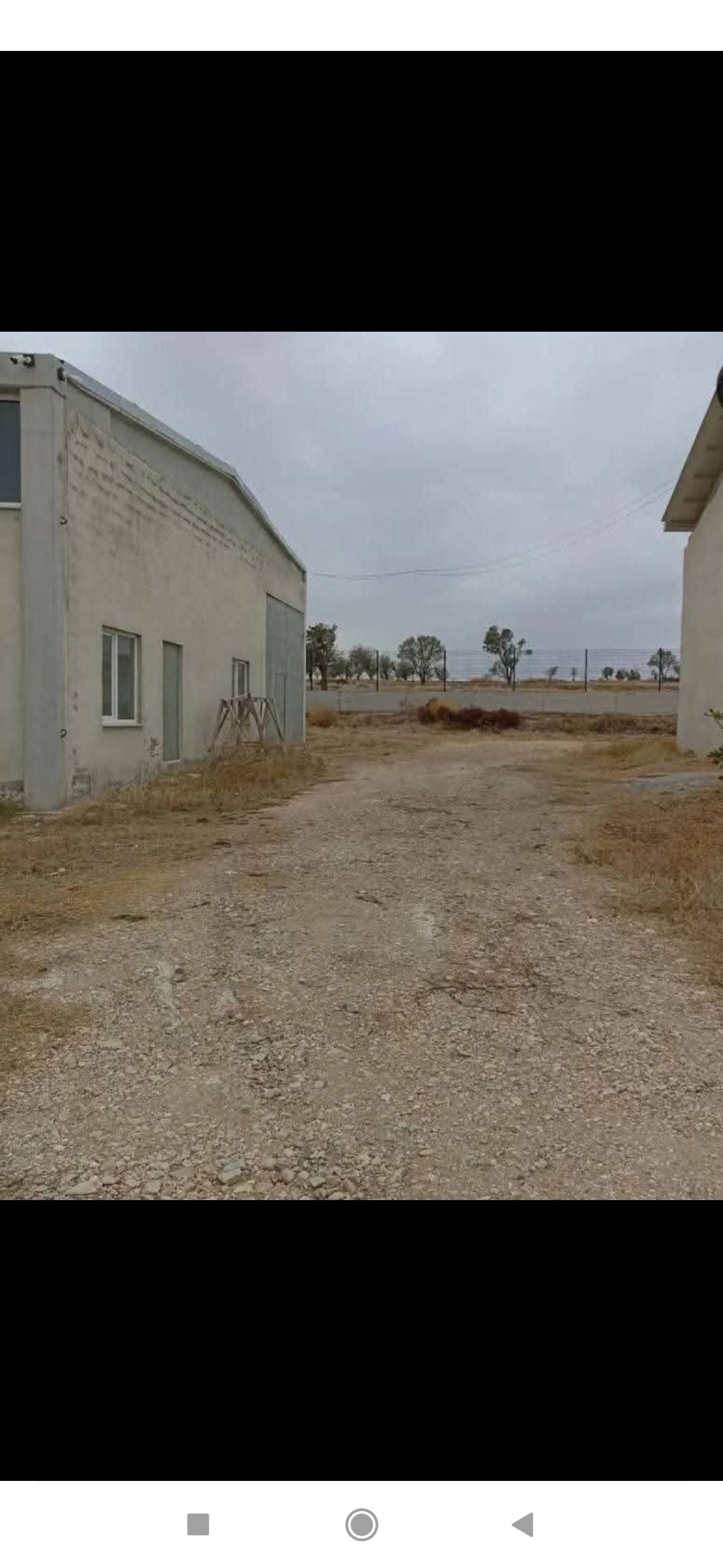 Satılık büyük baş hayvan çiftliği  - UŞAK SİVASLI fotoğraf 2