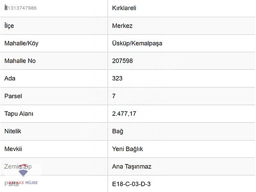 KIRKLARELİ MERKEZ ÜSKÜP MAH.2.477 M2 SATILIK BAHÇE - KIRKLARELİ MERKEZ fotoğraf 4