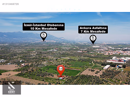 Kemalpaşa Halilbeylide Satılık 3000 m2 Bahçe 40 m2 Ev - İZMİR KEMALPAŞA fotoğraf 15
