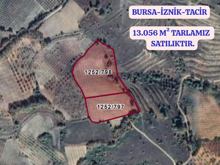 BURSA İZNİK TACİR KÖYÜNDE 13.056 M TARLA SATILIKTIR - BURSA İZNİK fotoğraf 2