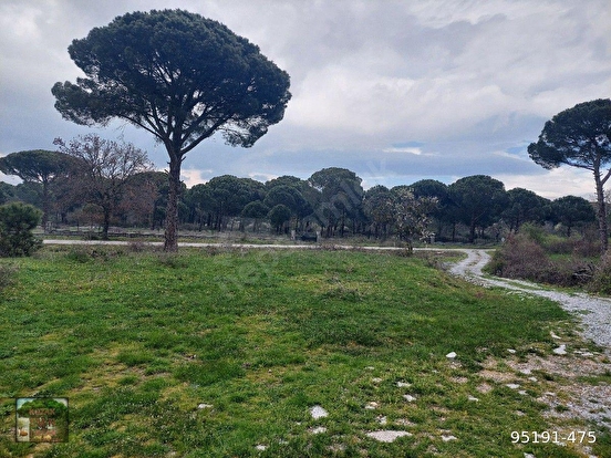 İZMİR BERGAMA KOZAK YAYLASI YUKARIBEY MAH DE 17600M2 TARLA % 5 TARIM İMARLI - İZMİR BERGAMA fotoğraf 4