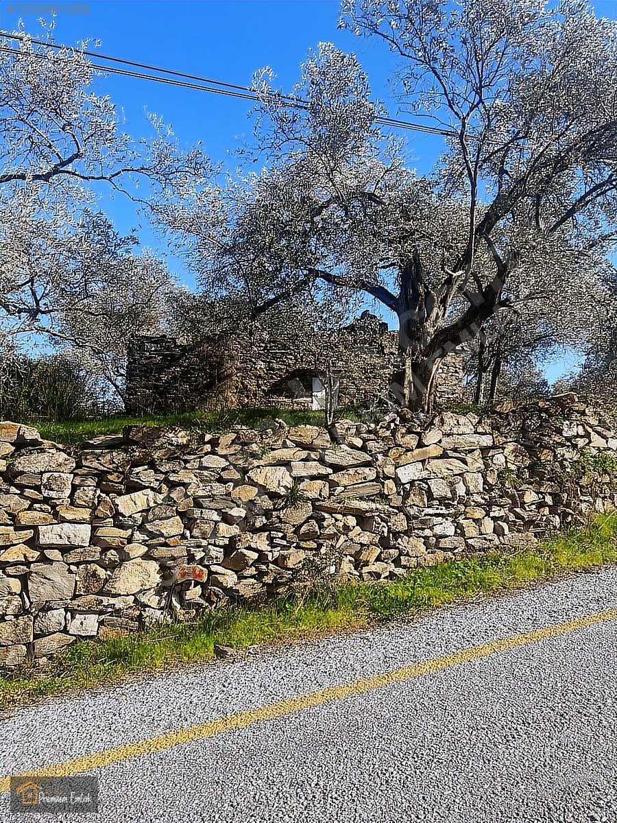 MİLAS KARACAHİSARDA KÖY İÇİ KAĞİR EV VE 980 M2 ARSASI - MUĞLA MİLAS fotoğraf 16