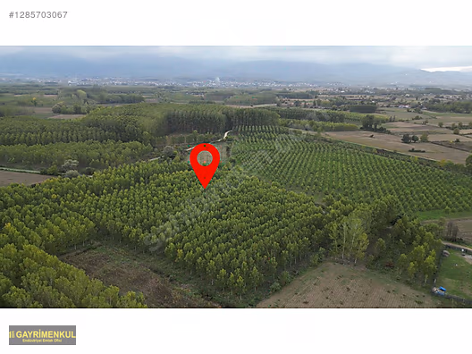 YATIRIM FIRSATI! ERENLER/ŞEYHKÖY MAH. 24.620 M² - SAKARYA ERENLER fotoğraf 11