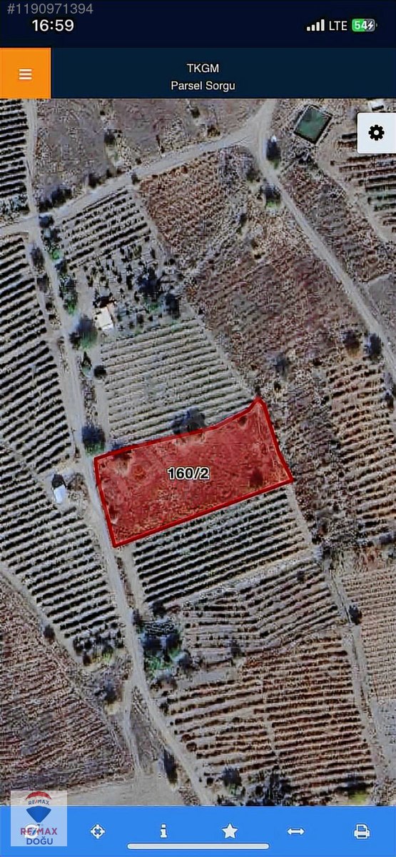 REMAX DOĞUDAN SEDEFTEPE(MIĞI) 3.141m² SATILIK ÜZÜM BAĞI - ELAZIĞ MERKEZ fotoğraf 5