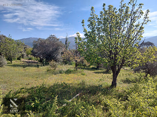 Kemalpaşa Dereköy'de Satılık 4850 m2 Bahçe - İZMİR KEMALPAŞA fotoğraf 19