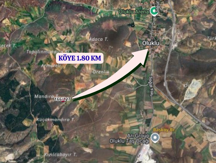 BİLECİK SÖĞÜT  OLUKLU  KÖYÜNDE  2.498  M²  TARLA  SATILIKTIR - BİLECİK SÖĞÜT fotoğraf 5