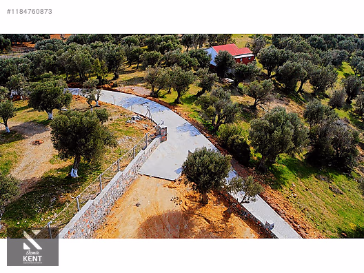 Kemalpaşa Sütçüler Satılık 873 m2 Zeytinlik - İZMİR KEMALPAŞA fotoğraf 42