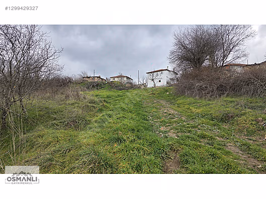 600 M2 RESMİ İZİNLERİ ALINMIŞ, %40 İKİ KAT KÖYİÇİ İMARLI ARSA - BİLECİK GÖLPAZARI fotoğraf 15