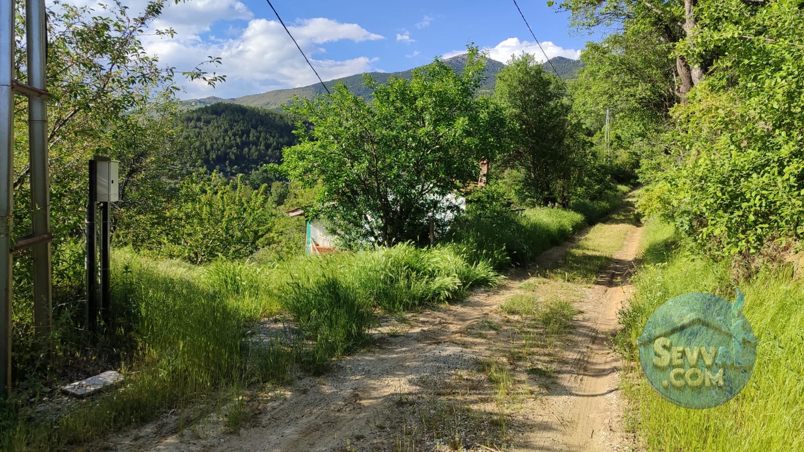 KÜTAHYA ŞAPHANE SUBAŞI'NDA SATILIK 2249m² BAHÇE - Kütahya Şaphane fotoğraf 12