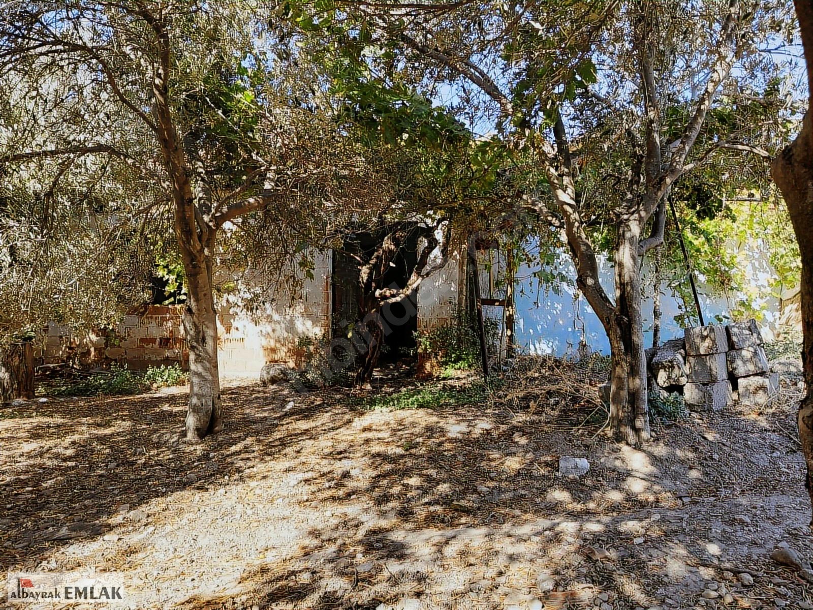 AKHİSAR RAHMİYE DE SATILIK 470 M2 ARSALI ESKİ KÖY EVİ 1.275.000 - MANİSA AKHİSAR fotoğraf 11