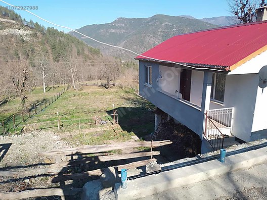 1500 m2 arsalı müstakil ev + 3200 m2 fındık bahçesi - ARTVİN BORÇKA fotoğraf 6