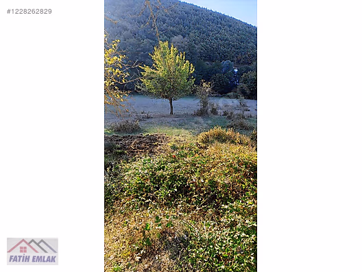 FATİH'TEN HAYDARİYEDE 1295m2 ASFALTA CEPHE MÜSTAKİL PARSEL ARSA - BURSA GEMLİK fotoğraf 2