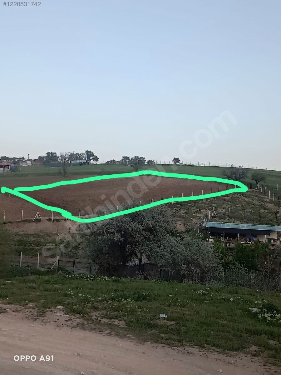 ANKARA ALTINDAĞ KAVAKLI KÖYÜNDE TARLAMIZIN 1.425 M² Sİ  SATILIKTIR - ANKARA ALTINDAĞ fotoğraf 9