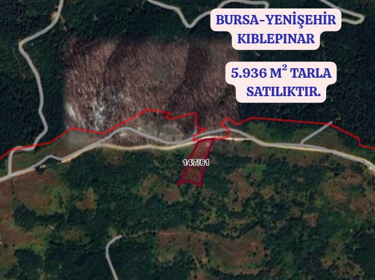 BURSA YENİŞEHİR KIBLEPINAR  KÖYÜNDE 5.936  M² TARLA  SATILIKTIR - BURSA YENİŞEHİR fotoğraf 2