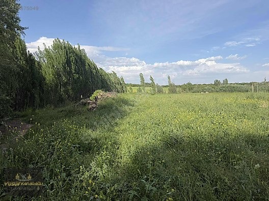YAZIHAN KÖMÜŞHANDA ACİL SATILIK SULU TARLA - MALATYA YAZIHAN fotoğraf 23