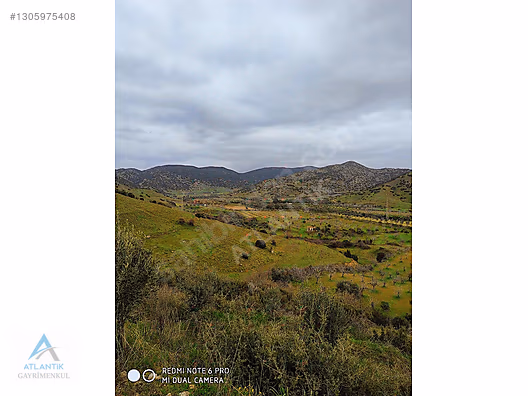 Atlantik gayrimenkul den satılık zeytinlik - İZMİR ÖDEMİŞ fotoğraf 8