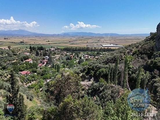GÜLLÜBAHÇE MEVKİİ SATILIK ZEYTİNLİK-DEĞİRMEN VE HARIMI - AYDIN SÖKE fotoğraf 7