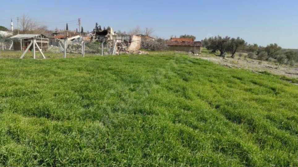 Manisa Saruhanlı Hacımusa Mah. Satılık Arsa - MANİSA SARUHANLI fotoğraf 3