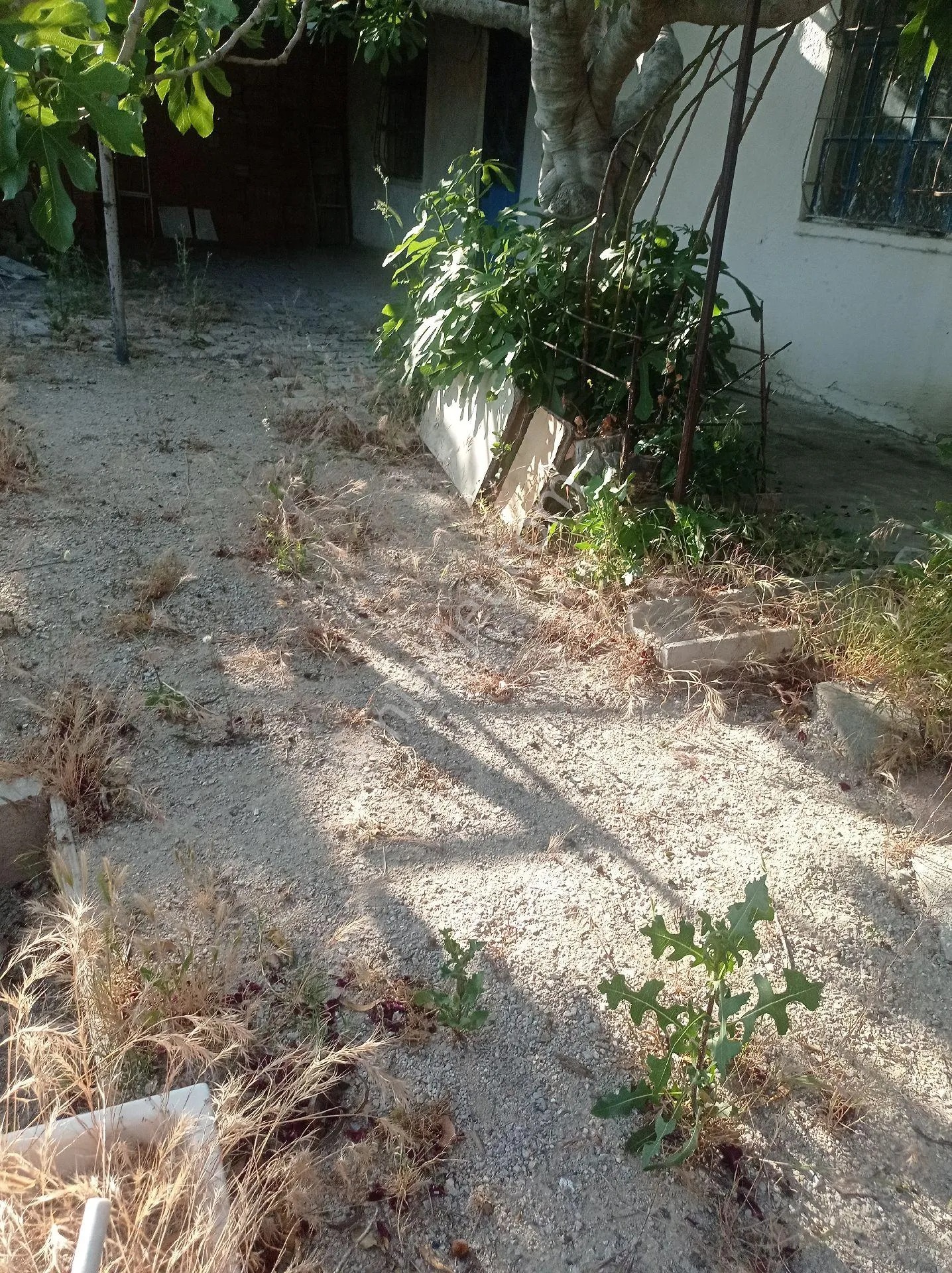 Yeliz'den Manisa Soma'da Satılık Müstakil Ev - MANİSA SOMA fotoğraf 12