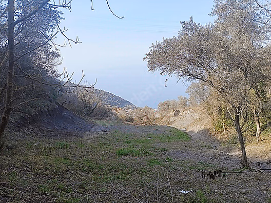 AKKOYUN DAN FULL DENİZ MANZARALI ARSA - KOCAELİ GÖLCÜK fotoğraf 2