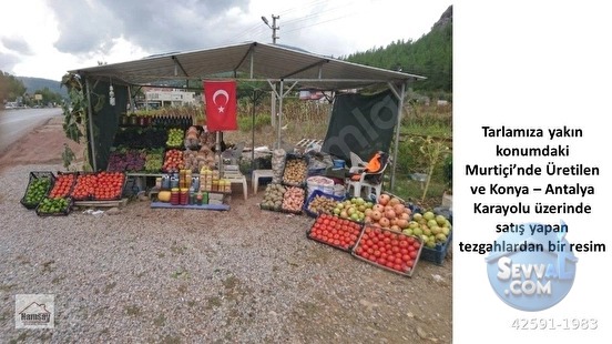 Murtiçine Yakın Konumda Acil Satılık Tarla - ANTALYA AKSEKİ fotoğraf 10