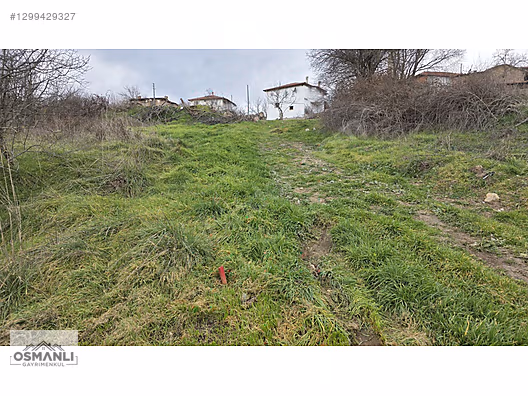 600 M2 RESMİ İZİNLERİ ALINMIŞ, %40 İKİ KAT KÖYİÇİ İMARLI ARSA - BİLECİK GÖLPAZARI fotoğraf 12