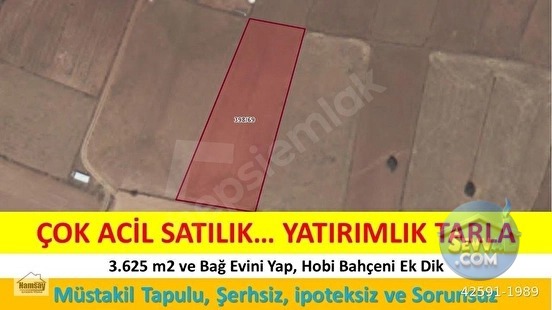 Çok Acil Satılık Yatırımlık Tarla - ANTALYA KORKUTELİ fotoğraf 4