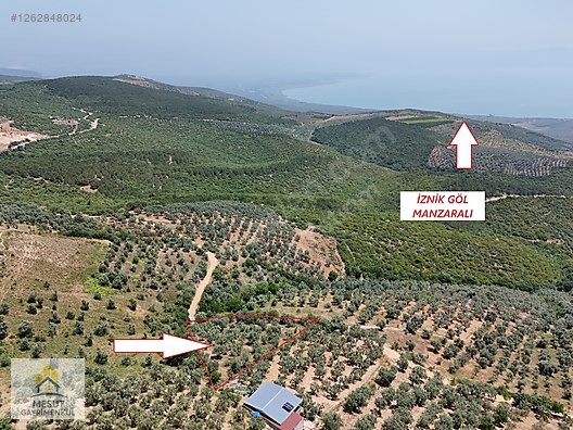 Bursa İznik Göl Manzaralı Müstakil Tapulu Satılık Bahçe - BURSA İZNİK fotoğraf 23