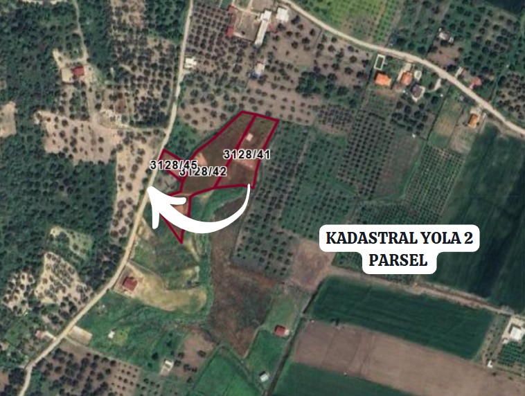 İZMİR ALİAĞA BARBAROS HAYRETTİN PAŞA  KÖYÜ’NDE ZEYTİNLİK TARLA’NIN 370 M² ‘Sİ SA - İZMİR ALİAĞA fotoğraf 5