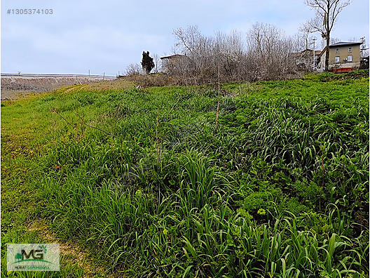 KOCAELİ KANDIRA KOCAKAYMAZ KELEPİR ARSA - KOCAELİ KANDIRA fotoğraf 11