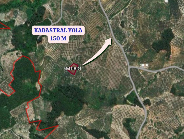 BURSA MUDANYA IŞIKLI KÖYÜNDE 1.925 M² ZEYTİNLİK SATILIKTIR. - BURSA MUDANYA fotoğraf 3