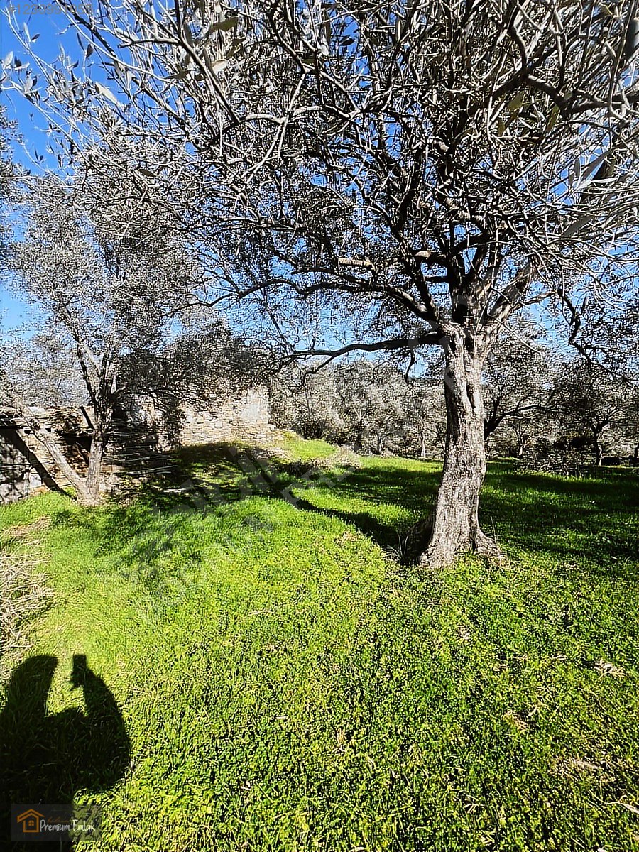 MİLAS KARACAHİSARDA KÖY İÇİ KAĞİR EV VE 980 M2 ARSASI - MUĞLA MİLAS fotoğraf 24