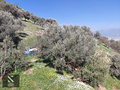 Kemalpaşa Soğukpınar İmar Gelişim Alanında Satılık 2,877m2 Bahçe - İZMİR KEMALPAŞA fotoğraf 29
