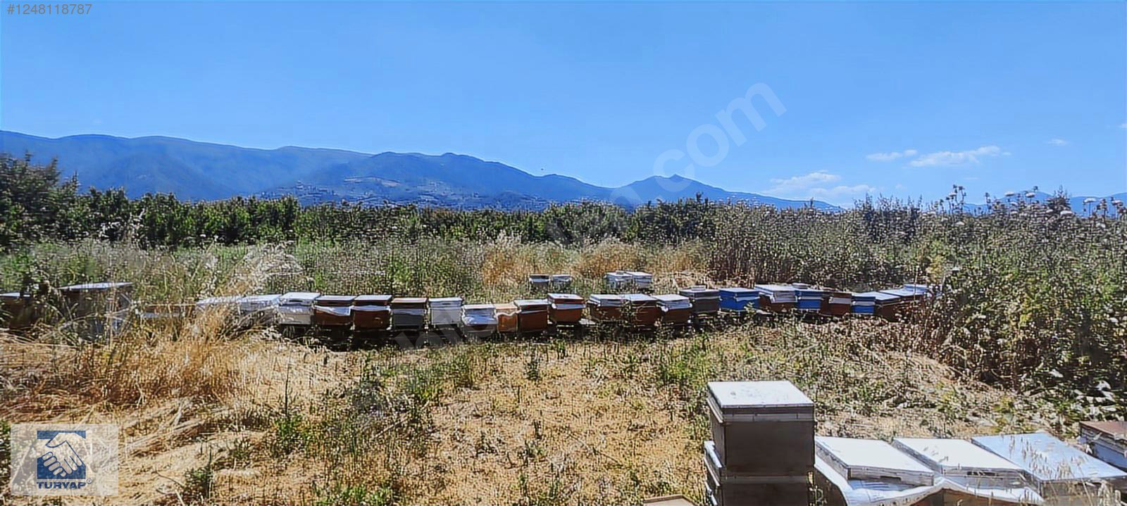 Kemalpaşa Örende 1234 M2 Satılık Müstakil Bahçe - İZMİR KEMALPAŞA fotoğraf 15