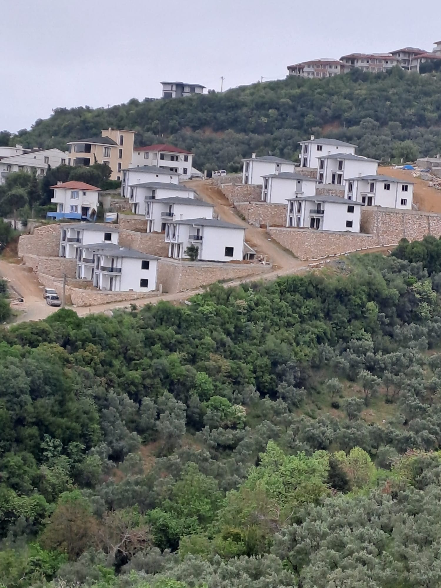 Esenköy denizve orman manzaralı - YALOVA ÇINARCIK fotoğraf 13