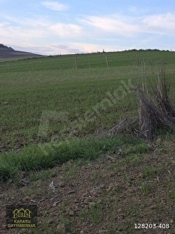 KIRKLARELİ MERKEZ KAPAKLI SÜPER KONUMDA 1231 M2 TARLA - KIRKLARELİ MERKEZ fotoğraf 13