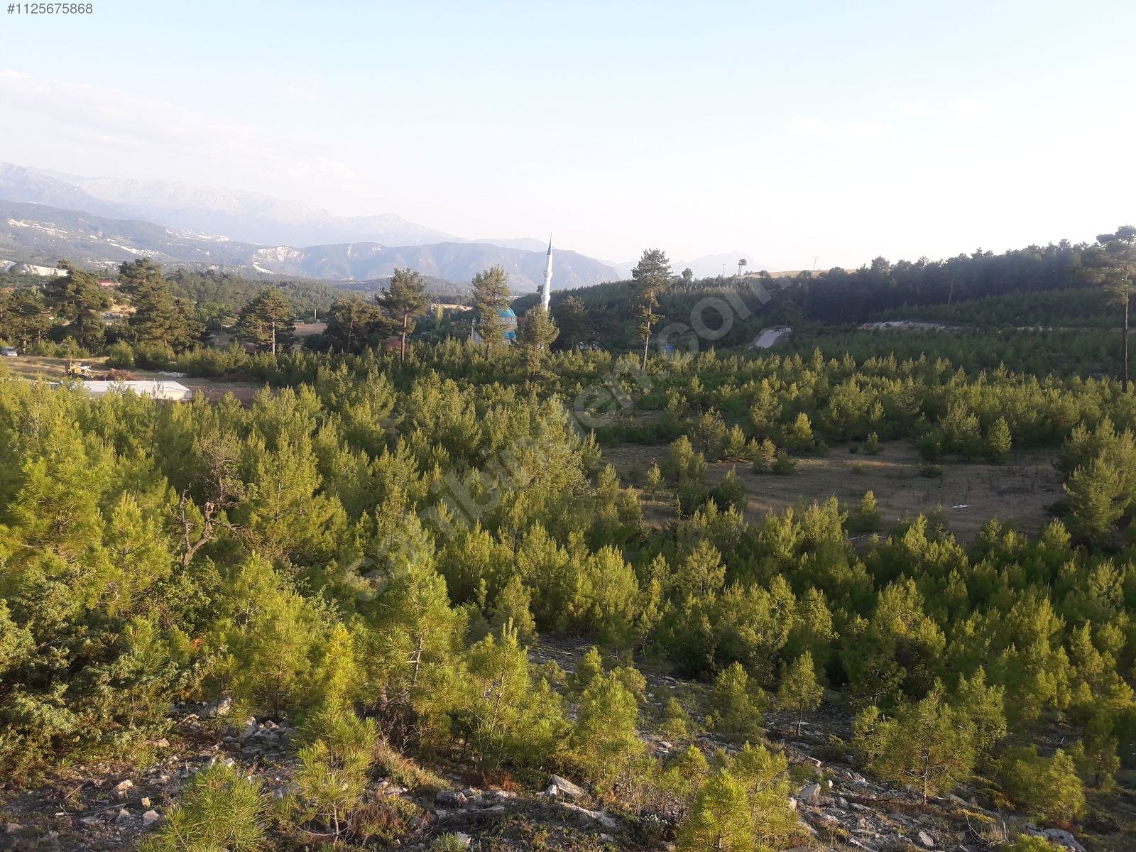DENİZLİ ÇAMELİ KOLAK KÖYÜNDE  686 M²  ARSA SATILIKTIR - DENİZLİ ÇAMELİ fotoğraf 14
