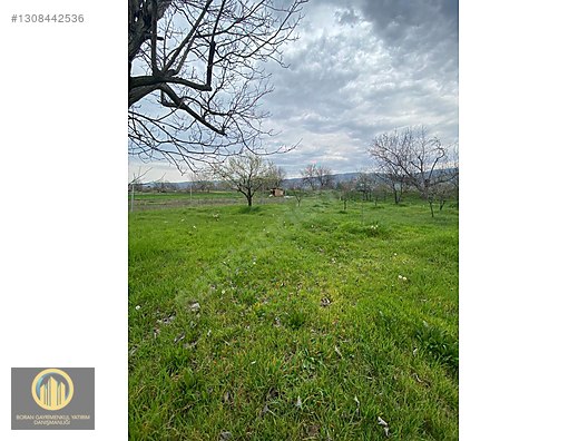 KUCUK YENICEDE RESMI YOLA CEPHE HOBI BAHCESI - BURSA İNEGÖL fotoğraf 2