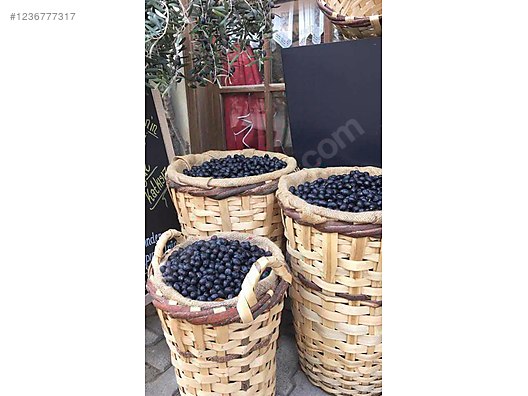 BURSA MUDANYA TİRİLYE  KÖYÜNDE 1.072 M² ZEYTİNLİK SATILIKTIR. - BURSA MUDANYA fotoğraf 6