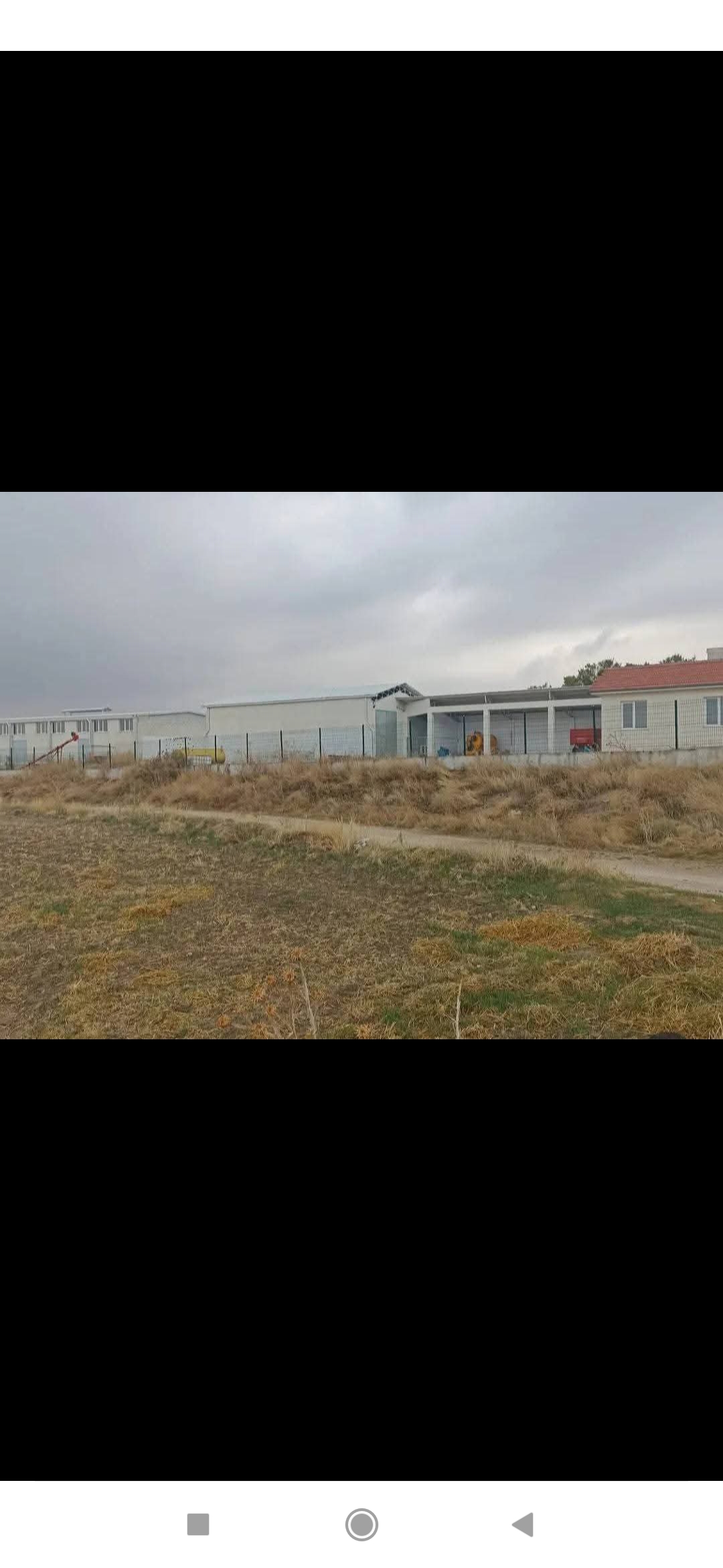 Satılık büyük baş hayvan çiftliği  - UŞAK SİVASLI fotoğraf 8