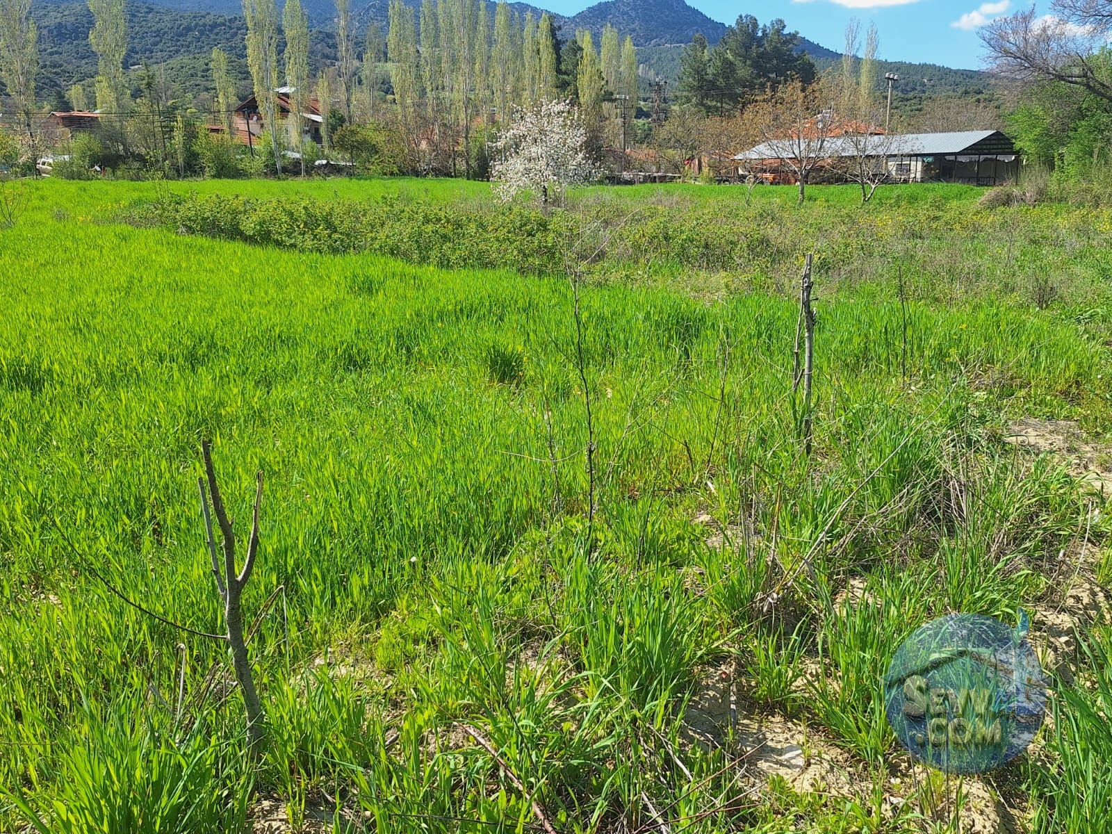 AĞLASUN KİBRİT KÖYÜNDE SATILIK FIRSAT ARAZİ - Burdur Ağlasun fotoğraf 26