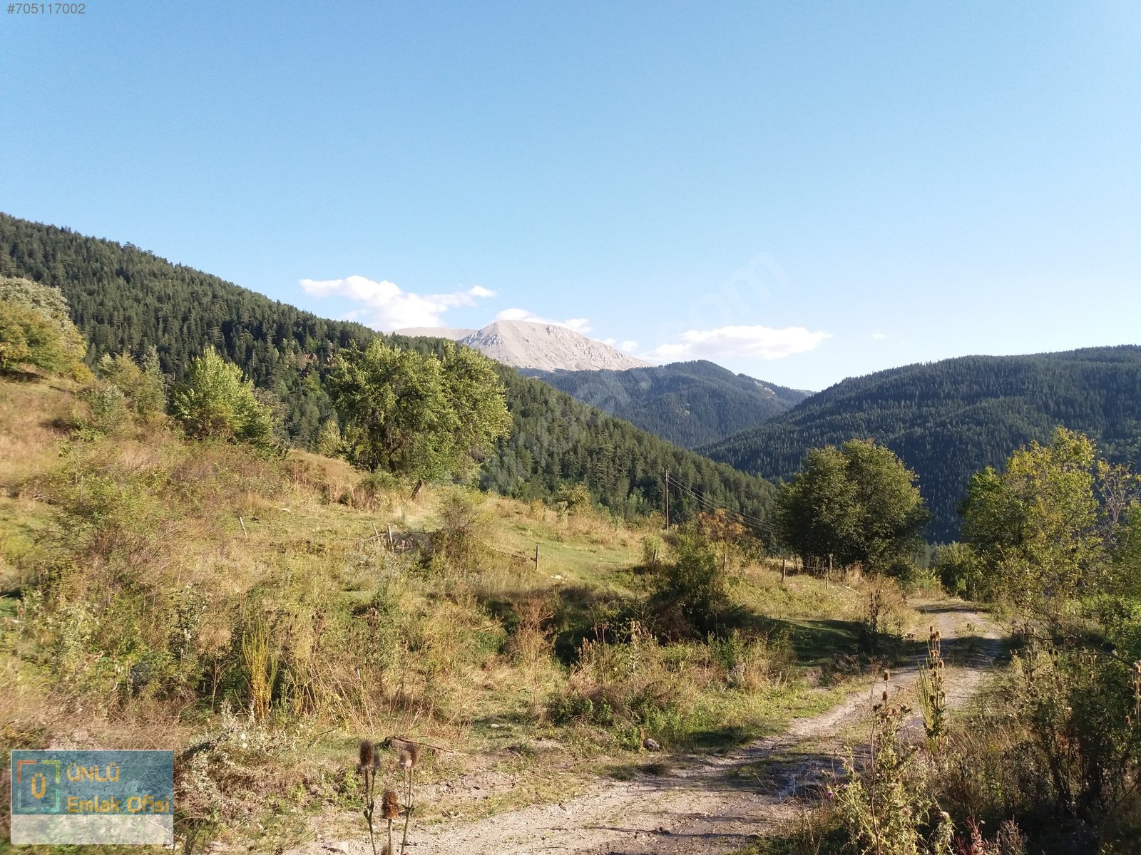 ÜNLÜ EMLAKTAN ILGAZ MANZARALI ORMAN İÇİNDE 50 DÖNÜM CAZİP ARAZİ - KASTAMONU MERKEZ fotoğraf 14